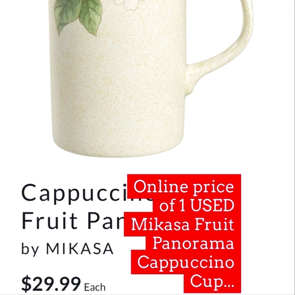 NWOT MIKASA Country Classics Fruit Panorama Cappuccino Coffee Mug Tea Cup Set - Picture 10 of 15